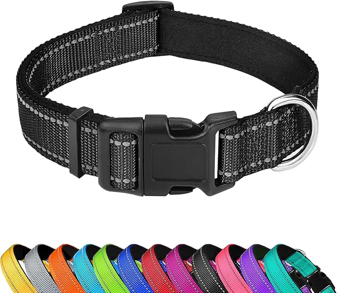 Reflective Dog Collar