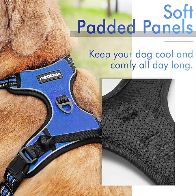 rabbitgoo Dog Harness, No-Pull Pet Harness with 2 Leash Clips, Adjustable Soft Padded Dog Vest, Reflective No-Choke Pet Oxford Vest with Easy Control Handle for Large Dogs, Dazzling Blue, XL