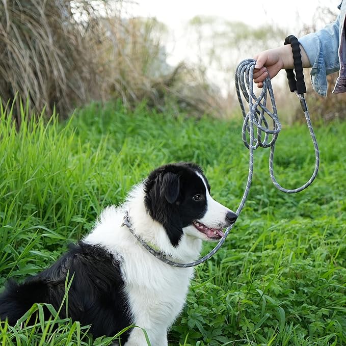 NTR Heavy Duty Dog Leash 15FT Training