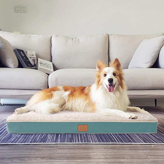 Orthopedic Dog Bed for Large Dogs 36 x 27 Inches,