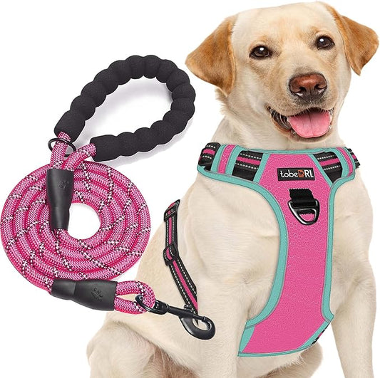 tobeDRI No Pull Dog Harness Adjustable Reflective Oxford Easy Control Medium Large Dog Harness with A Free Heavy Duty 5ft Dog Leash