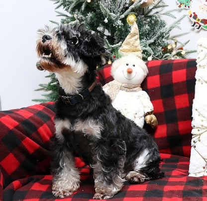 Unique style paws Dog Collar Metal Buckle Collar