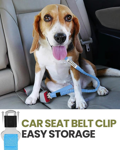 OutdoorMaster Bungee Dog Leash 2 Padded 4FT