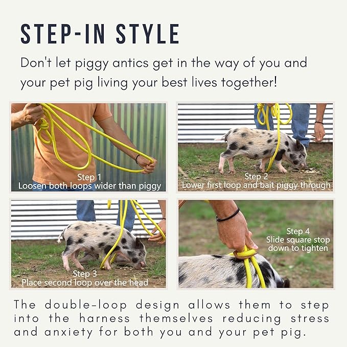 Pig Harness Leash- Fully Adjustable Pig Leash Harness for Small & Medium Pigs- Easy Step-in Harness-Infinity Style Pet Pig Leash-Durable & Gentle Mini Pig Harness-Mini Pig Supplies (Small-Olive Green)