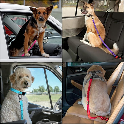 Plutus Pet Dog Seat Belt for Car, Adjustable Dog Car Harness with Carabiner Clip, Reflective Safety Dog Seatbelt Leash with Elastic Bungee, Hot Pink