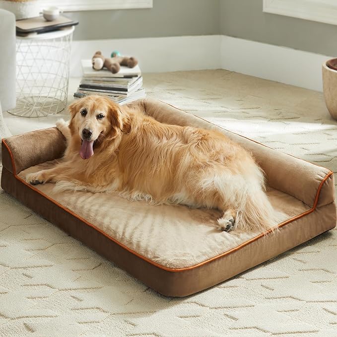 Orthopedic Dog Beds for Large Dogs