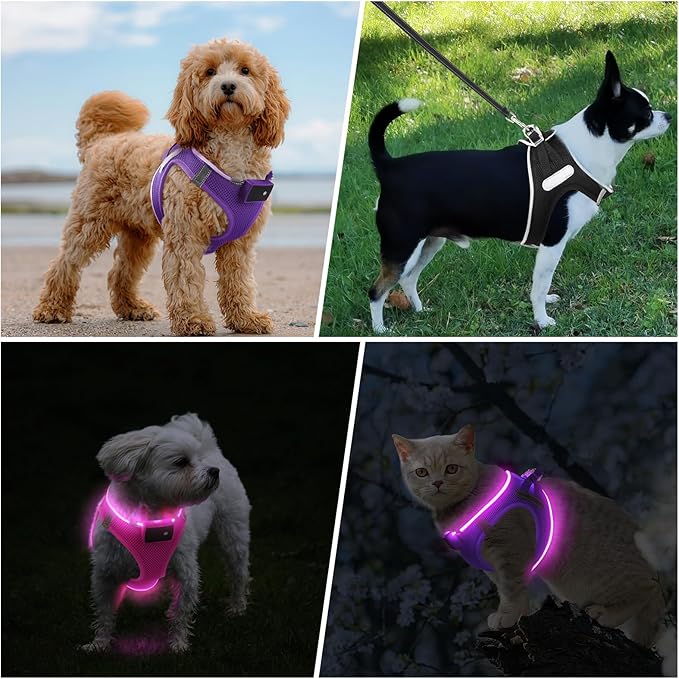 PcEoTllar Light Up Dog Harness, LED Dog Harness for Puppy Small Medium Dogs, Rechargeable No Pull Reflective Dog Harness, Flashing Lighted Dog Harness for Night Walking (Purple,M)