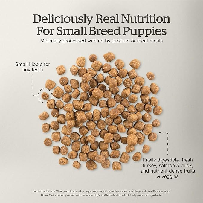 Now Fresh Grain-Free Dry Dog Food 3.5 lb