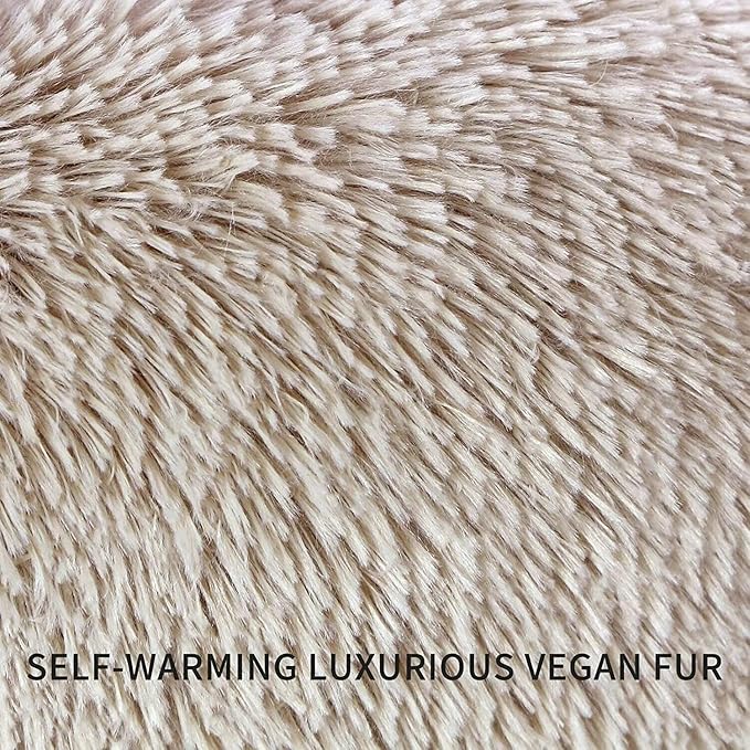 Geizire Cat Beds for Indoor Cats