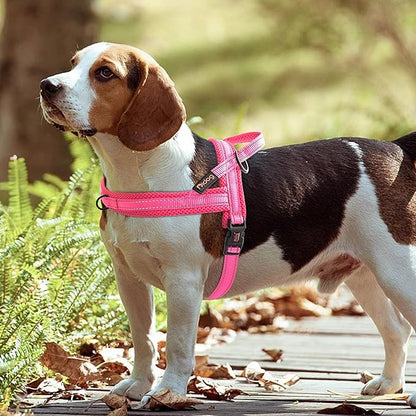 Didog No Pull Dog harness with Soft Mesh Padded,Reflective & Quick Fit Light Weight Dog Strap Vest Harness,Easy for Walking Training for Small & Medium and Large Dogs(Pink,M)