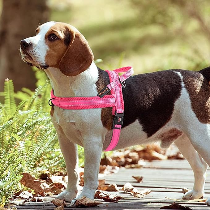 Didog No Pull Dog harness with Soft Mesh Padded,Reflective & Quick Fit Light Weight Dog Strap Vest Harness,Easy for Walking Training for Small & Medium and Large Dogs(Pink,L)