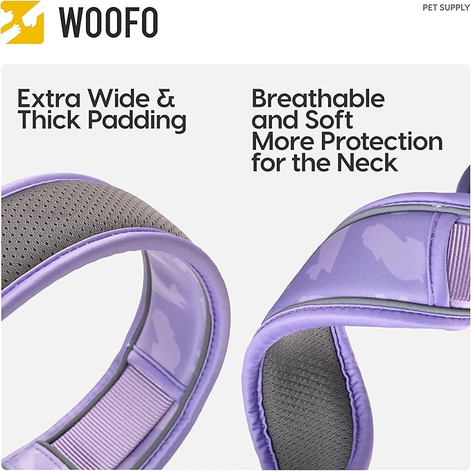 Premium Dog Collar