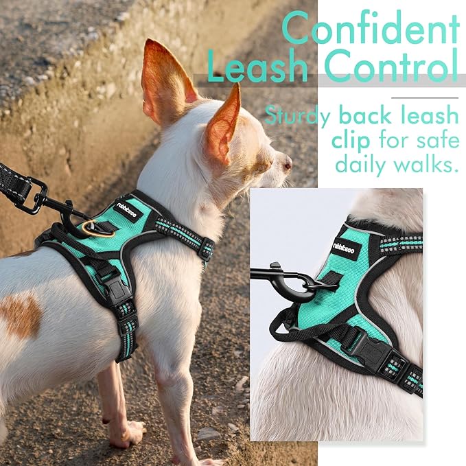 rabbitgoo Dog Harness, No-Pull Pet Harness with 2 Leash Clips, Adjustable Soft Padded Dog Vest, Reflective No-Choke Pet Oxford Vest with Easy Control Handle for Small Dogs, Turquoise, XS