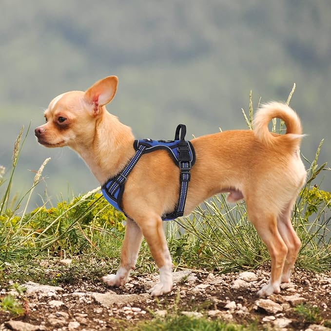 rabbitgoo Dog Harness 2 Leash