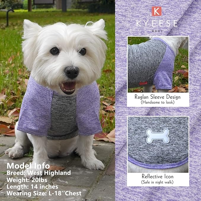 KYEESE 2 Pack Dog Shirts Quick Dry for Medium Dogs Breathable Lightweight Stretchy Protects Against Foxtails Dog T-Shirt with Reflective Label Raglan Sleeve Dog Clothes UV Protection 2XL