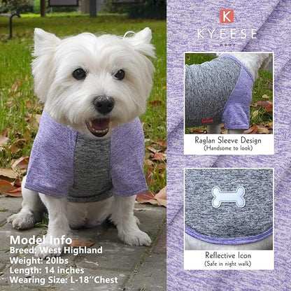 KYEESE 2 Pack Dog Shirts Raglan Sleeve Quick Dry Soft Stretchy Small Dog T-Shirts with Reflective Label Protects Against Foxtails Lightweight Dog Clothes Sun Protection