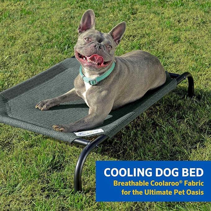 Coolaroo The Original Cooling Elevated Dog Bed