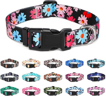 Adjustable Dog Collar with Patterns