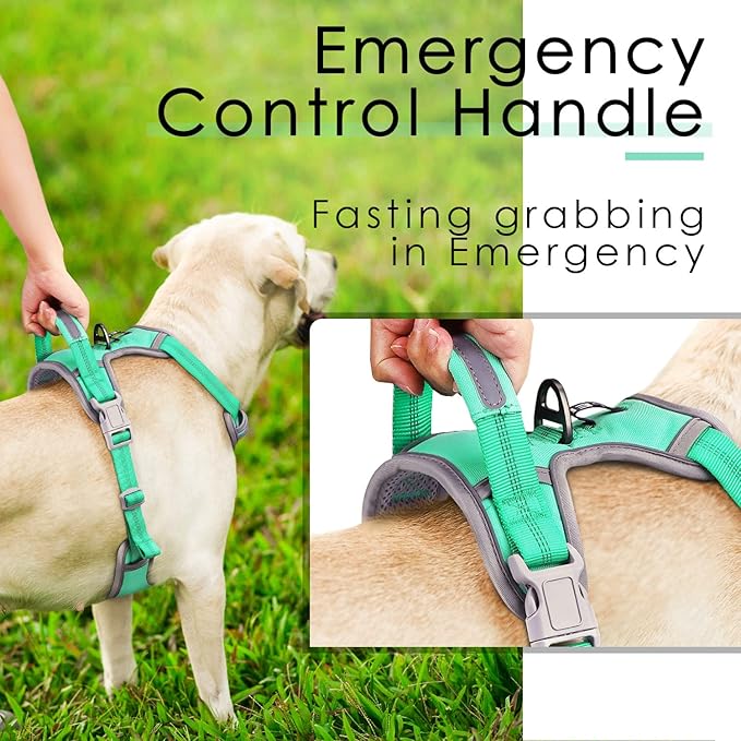 ThinkPet No Pull Harness Breathable Sport Harness with Handle-Dog Harnesses Reflective Adjustable for Medium Large Dogs,Back/Front Clip for Easy Control S Teal