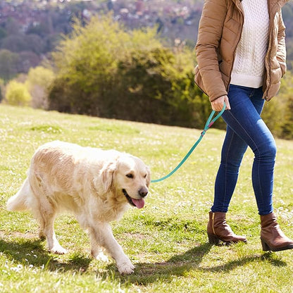 Waterproof Dog Leash Carabiner Leash for Dogs Soft 5ft*15mm*2.0mm Viridian