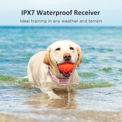 PATPET Dog Training Collar with Remote 3 Adjustable (8-120 lbs)