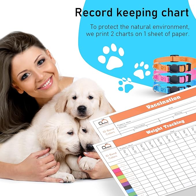 GAMUDA Small Pet Collars 2 Record 12 (M)