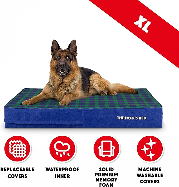 The Dog’s Bed Orthopedic Memory Foam Dog Bed 46x28, Pain