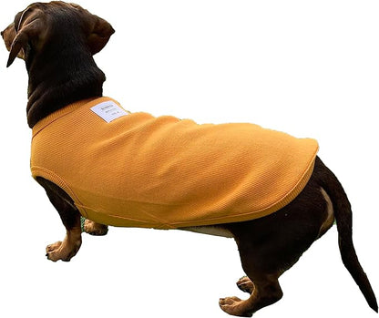 Dachshund Clothes for Dogs Mini and Adults T Shirts (XL