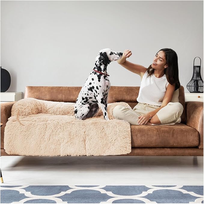 Dog Bed Large Sized Dog