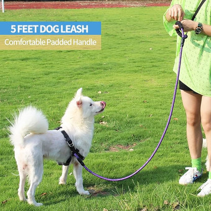 BAAPET 2/4/5/6 FT Dog Leash with Comfortable Padded Handle and Highly Reflective Threads for Small Medium and Large Dogs (5FT-1/2''