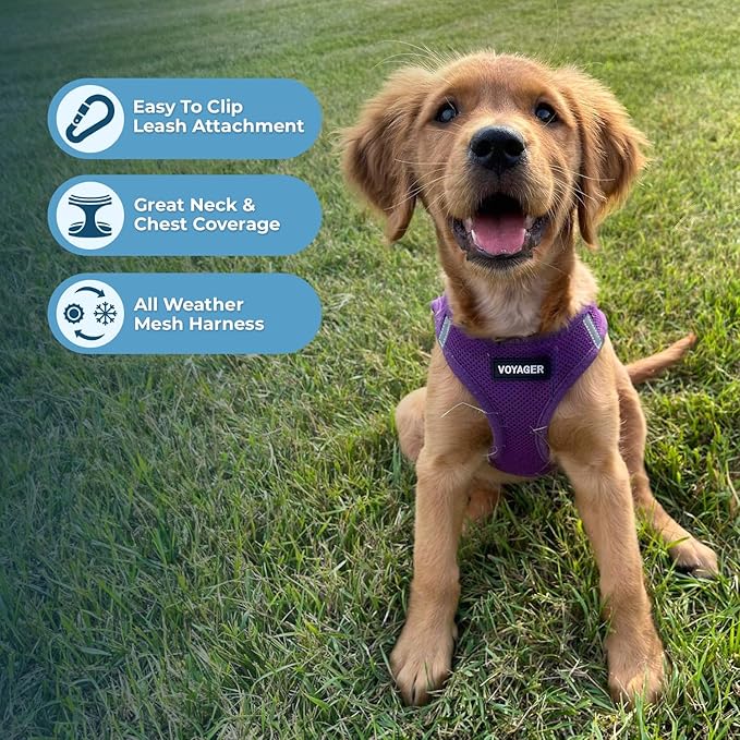 Voyager Step-in Air Dog Harness - All Weather Mesh Step in Vest Harness for Small and Medium Dogs and Cats by Best Pet Supplies - Harness (Purple), XS (Chest: 13-14.5")