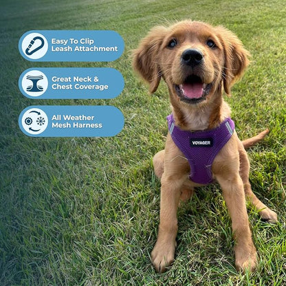 Voyager Step-in Air Dog Harness - All Weather Mesh Step in Vest Harness for Small and Medium Dogs and Cats by Best Pet Supplies - Harness (Purple), S (Chest: 14.5-16")