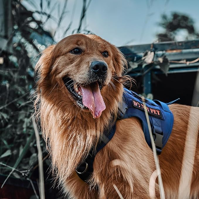 OneTigris Tactical Dog Harness Vest,No-Pull Service Dog Vest with Hook & Loop Panels,Adjustable Dog Vest Harness for Walking Hiking Training(Blue,M)