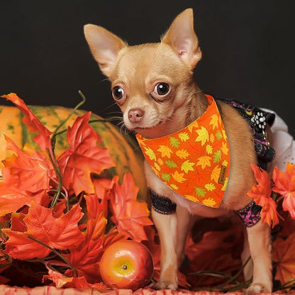 Fall Dog Bandanas 2 Pack