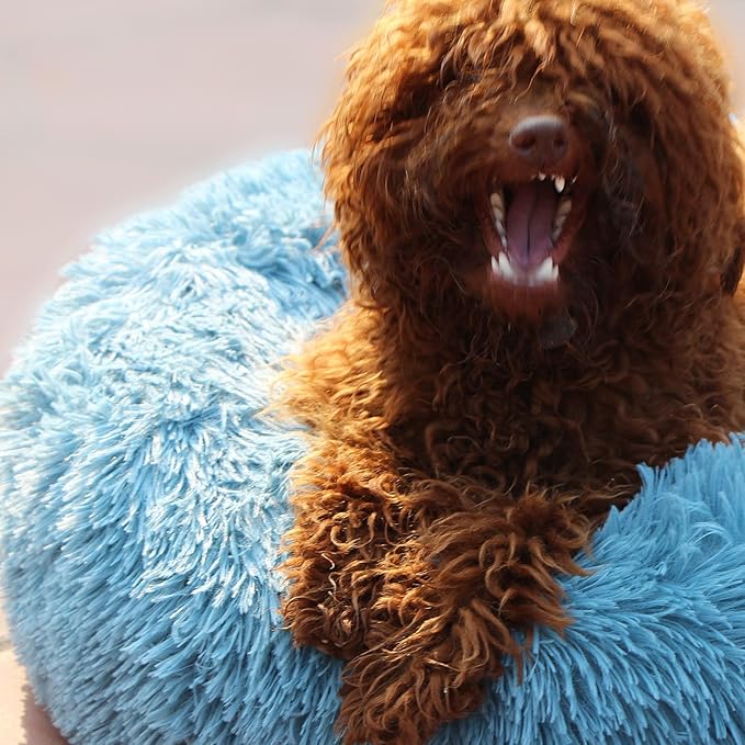 Small Dog Donut Bed for Small Dogs Machine Washable