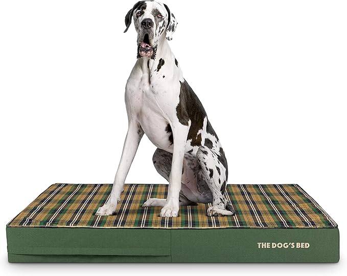 The Dog’s Bed Orthopedic Memory Foam Dog Bed 54x36, Pain