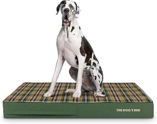 The Dog’s Bed Orthopedic Memory Foam Dog Bed 54x36, Pain