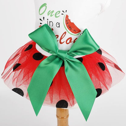 Small Dog Dress for Girl Watermelon Polka Dots Mesh Dress Dog Outfit