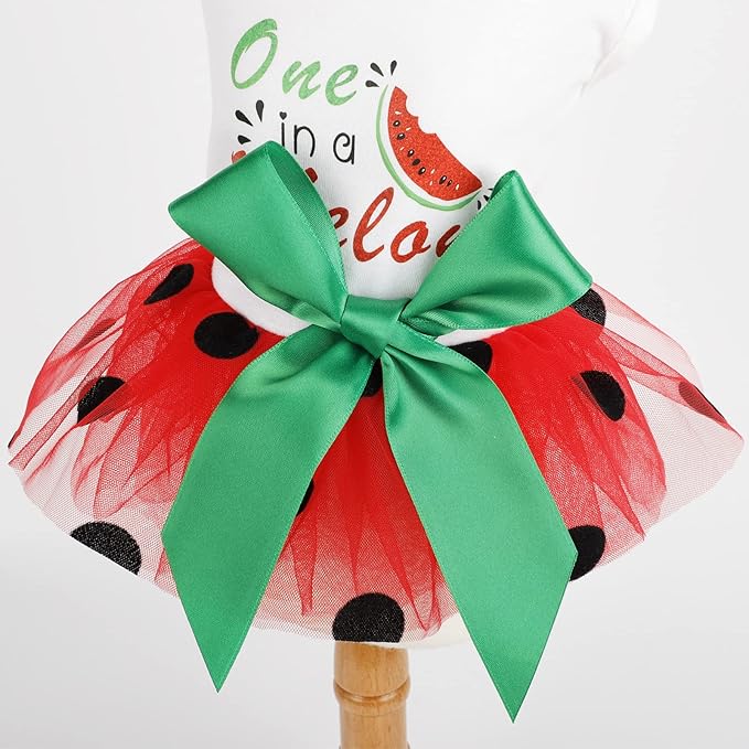Dog Clothes for Small Dogs Girl Watermelon Polka Dots Mesh Dress Dog Outfit