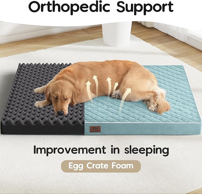 Orthopedic Dog Beds for Large Dogs with Removable Washable Cover 48 inch,