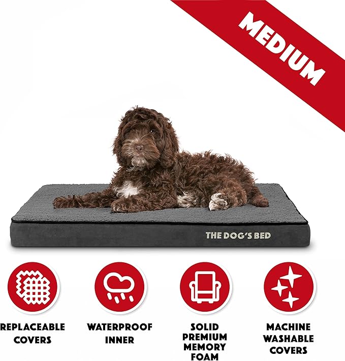 The Dog’s Bed Orthopedic Memory Foam Dog Bed 34x22x3, Pain