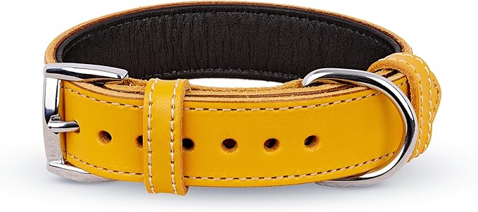 Soft Leather Dog Collar