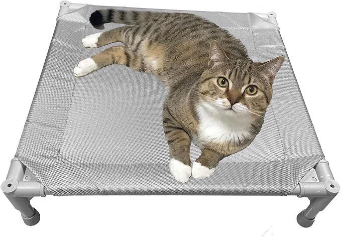 Love&go Elevated Dog Bed with Metal Frame (Small-18.5x18.5x5.5 inch,