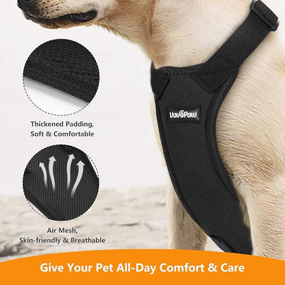 Dog Vehicle Safety Vest Harness