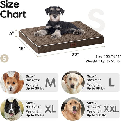 Orthopedic Dog Beds for Small Dogs with Removable Washable Cover 22 inch,