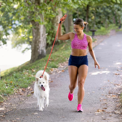 2pcs Slip Lead Dog Leash for Dogs no Pull 5FTStrong Rope