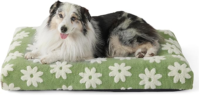 Lesure XLarge Dog Bed-Thick Shredded Chopped Foam Pet Bed Bottom(41'x28', Green)