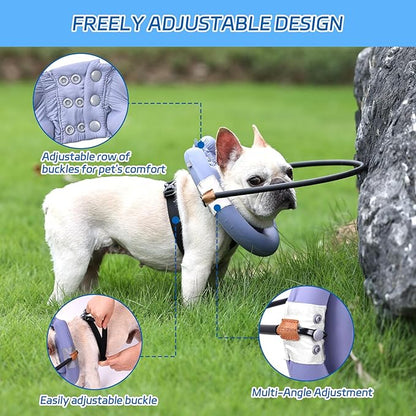 Blind Dog Halo, Blind Dog Harness, Lightweight Halo for Dogs&Cats, Adjustable Guiding Device Protects Pets from Collision, Builds Confidence, Collar, Purple (Small)