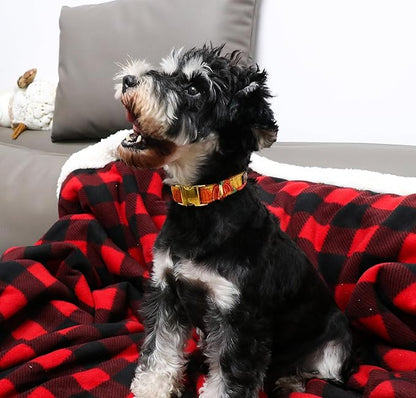 Unique style paws Dog Collar Metal Buckle Collar