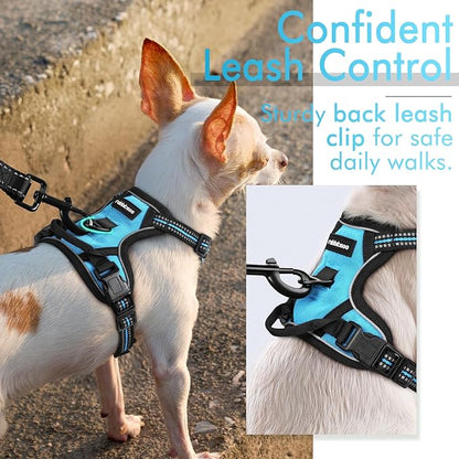 rabbitgoo Dog Harness 2 Leash